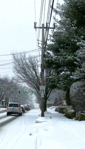 snow and green lights